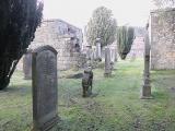 image of grave number 278990